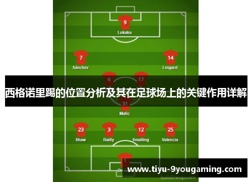 西格诺里踢的位置分析及其在足球场上的关键作用详解