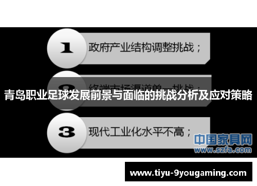 青岛职业足球发展前景与面临的挑战分析及应对策略 青岛职业足球发展前景与面临的挑战分析及应对策略