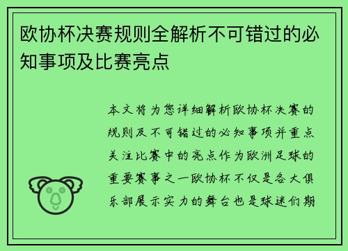 欧协杯决赛规则全解析不可错过的必知事项及比赛亮点